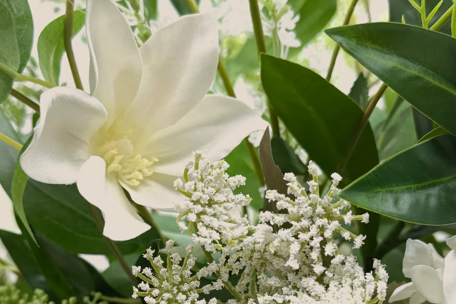 Beeldvullend detail van witte bloemen en frisgroen blad.